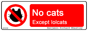 no cats except lolcats