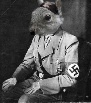 HitlerSquirrel.jpg