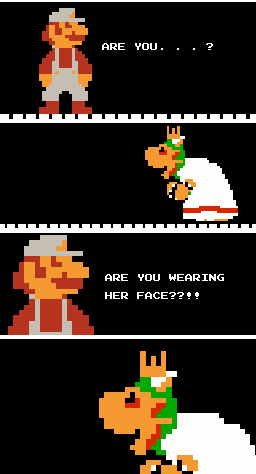 Are You Wearing Her Face? | Funny Mario Bros Pictures [PIC]