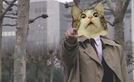Captain Howdy's Cat