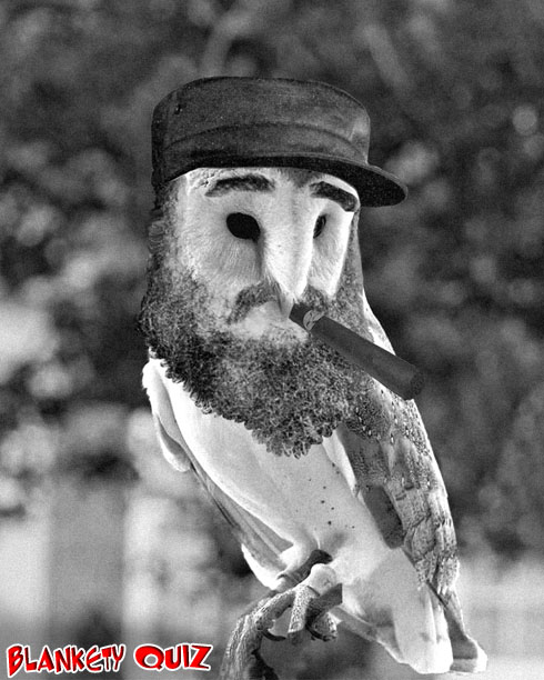 Castro Barn Owl
