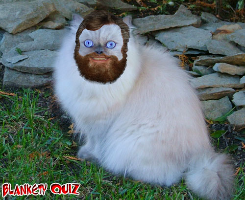 Blesed Cat