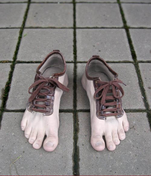 shoe
